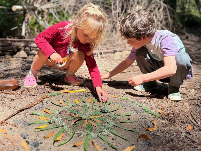 Nature Camps