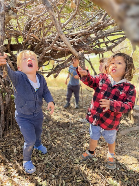 Nature Camps